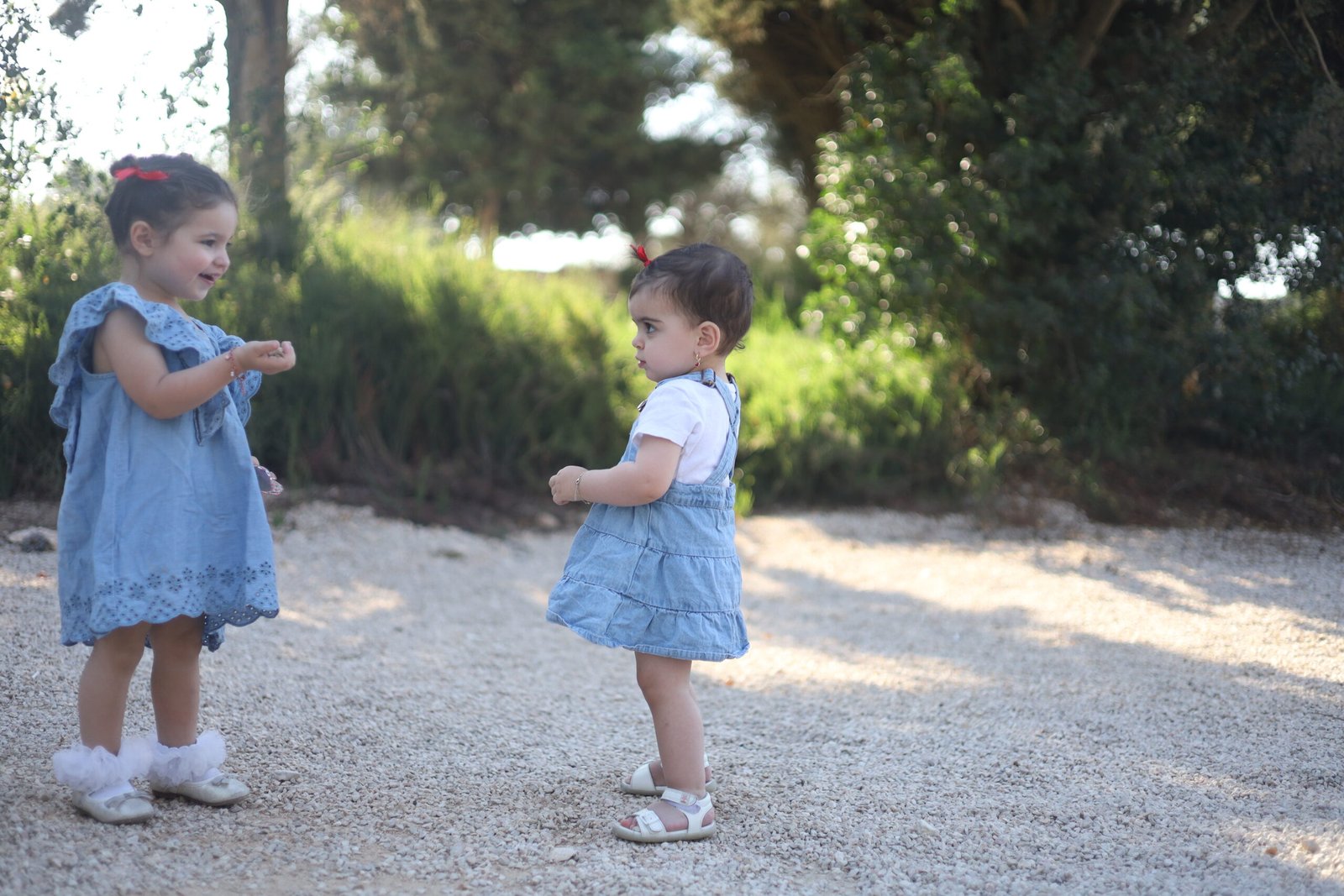 א.ש ירושלים